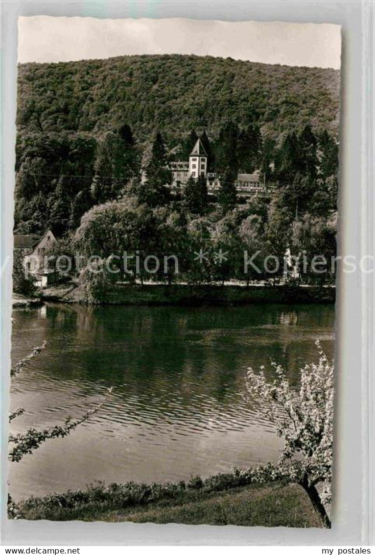 Neckargemuend Kuemmelsbacherhof