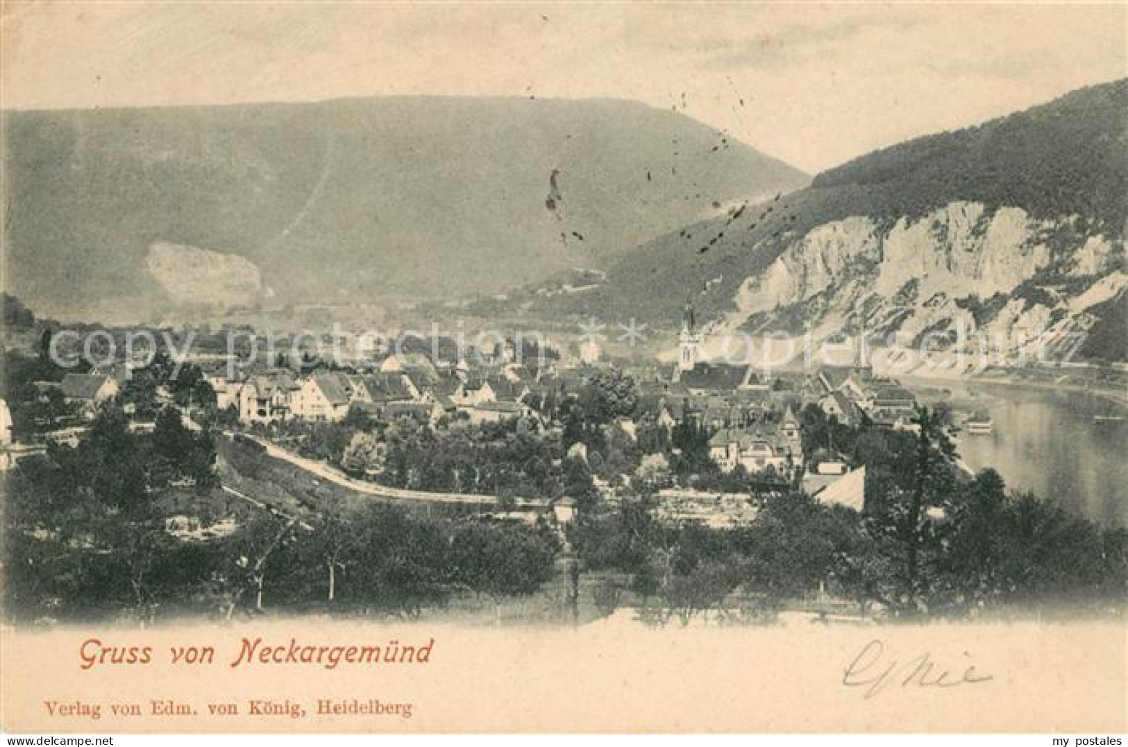Neckargemuend Panorama