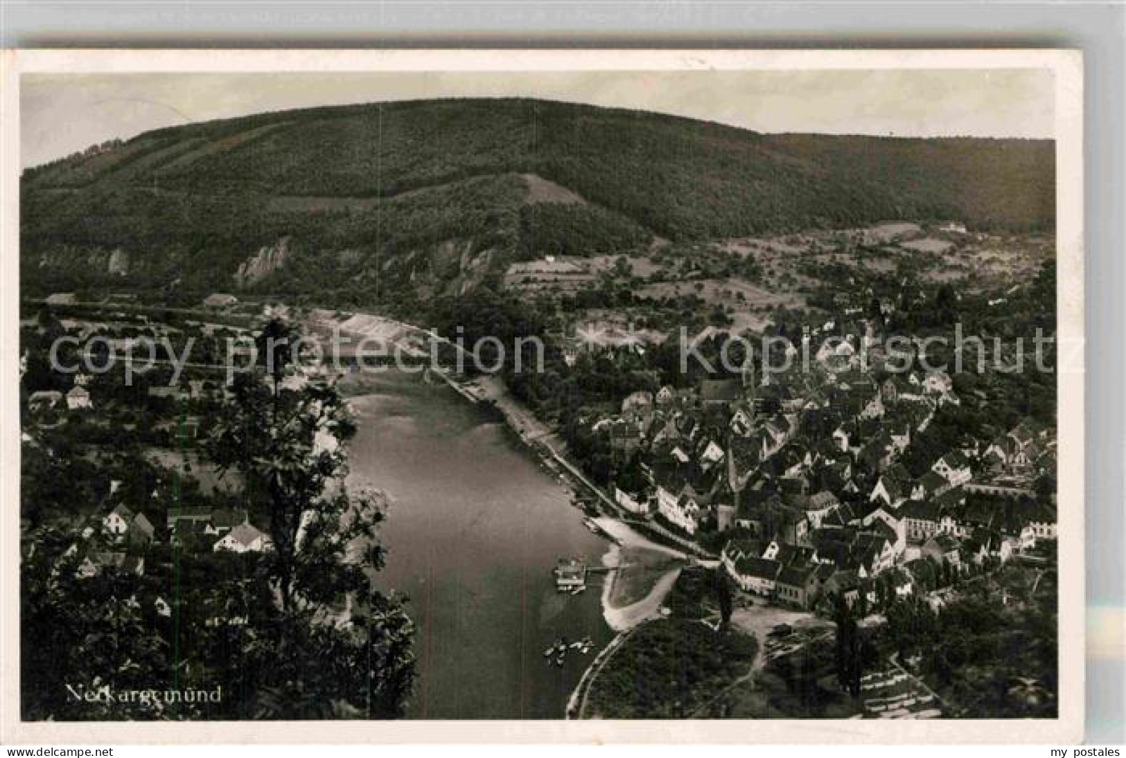 Neckargemuend Panorama