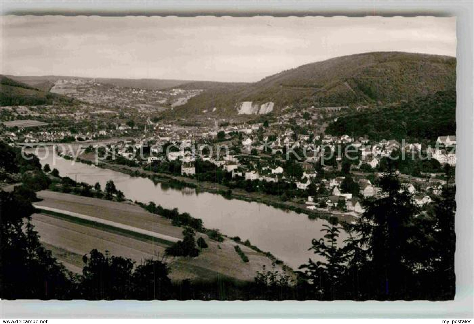 Neckargemuend Panorama