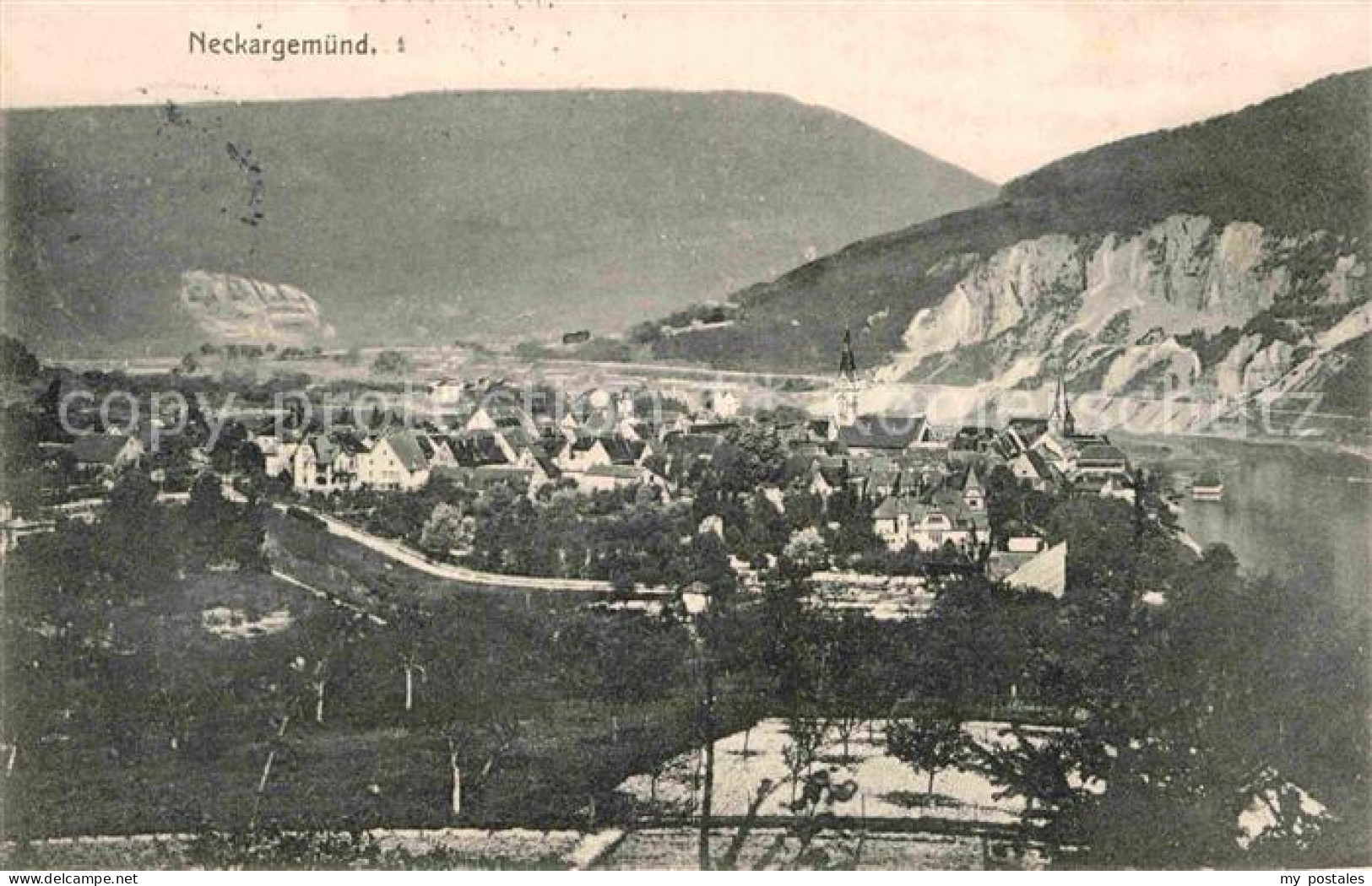 Neckargemuend Panorama