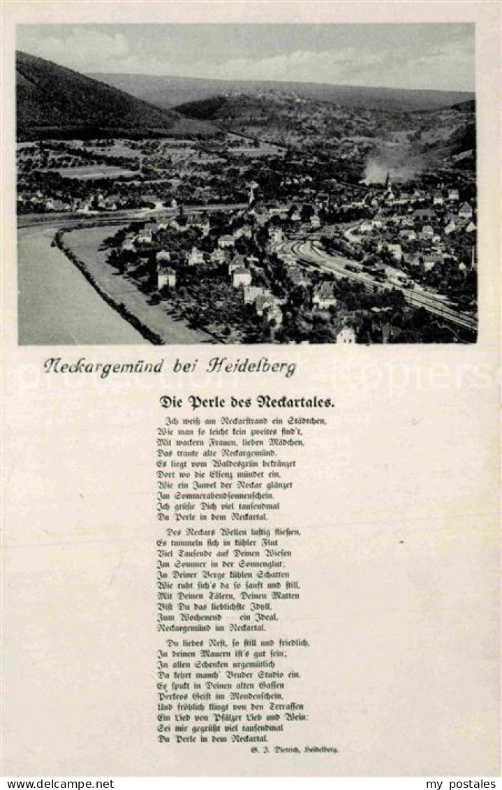 Neckargemuend Panorama