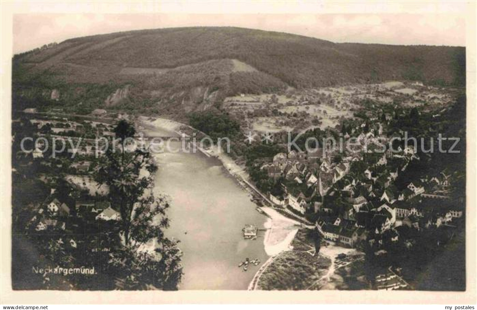 Neckargemuend Panorama