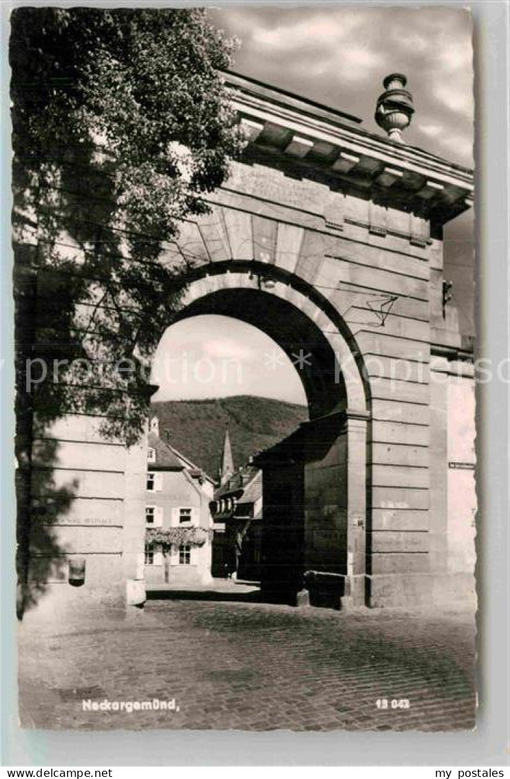Neckargemuend Stadttor
