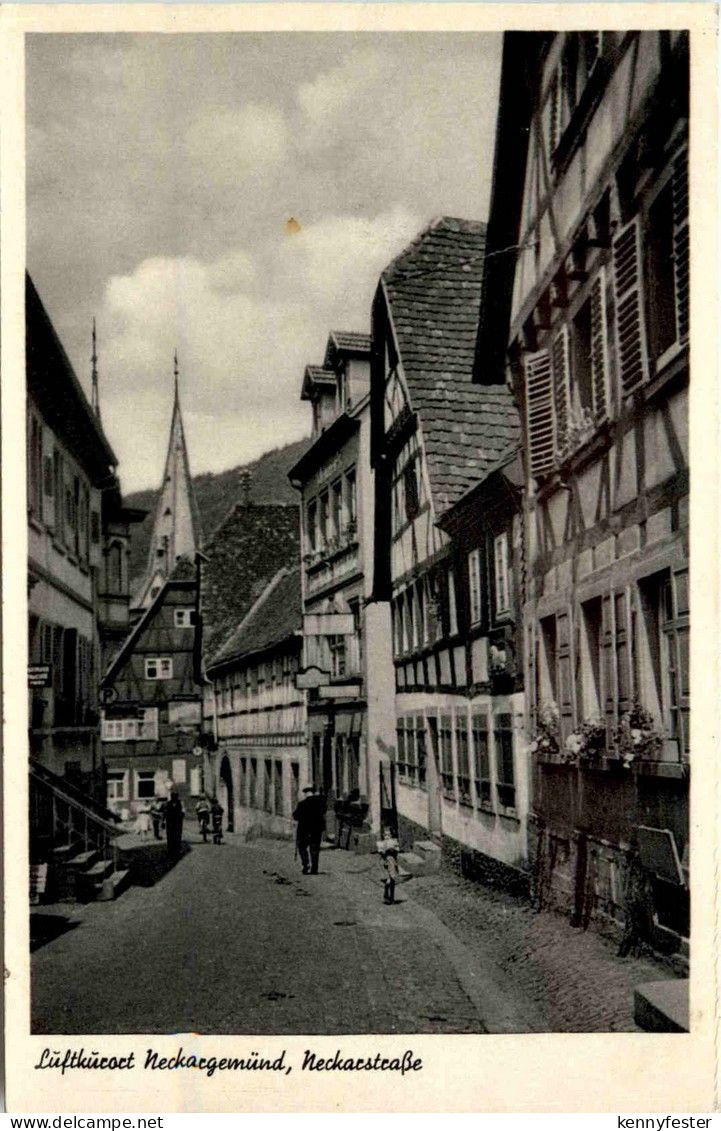 Neckargemünd - Neckarstrasse