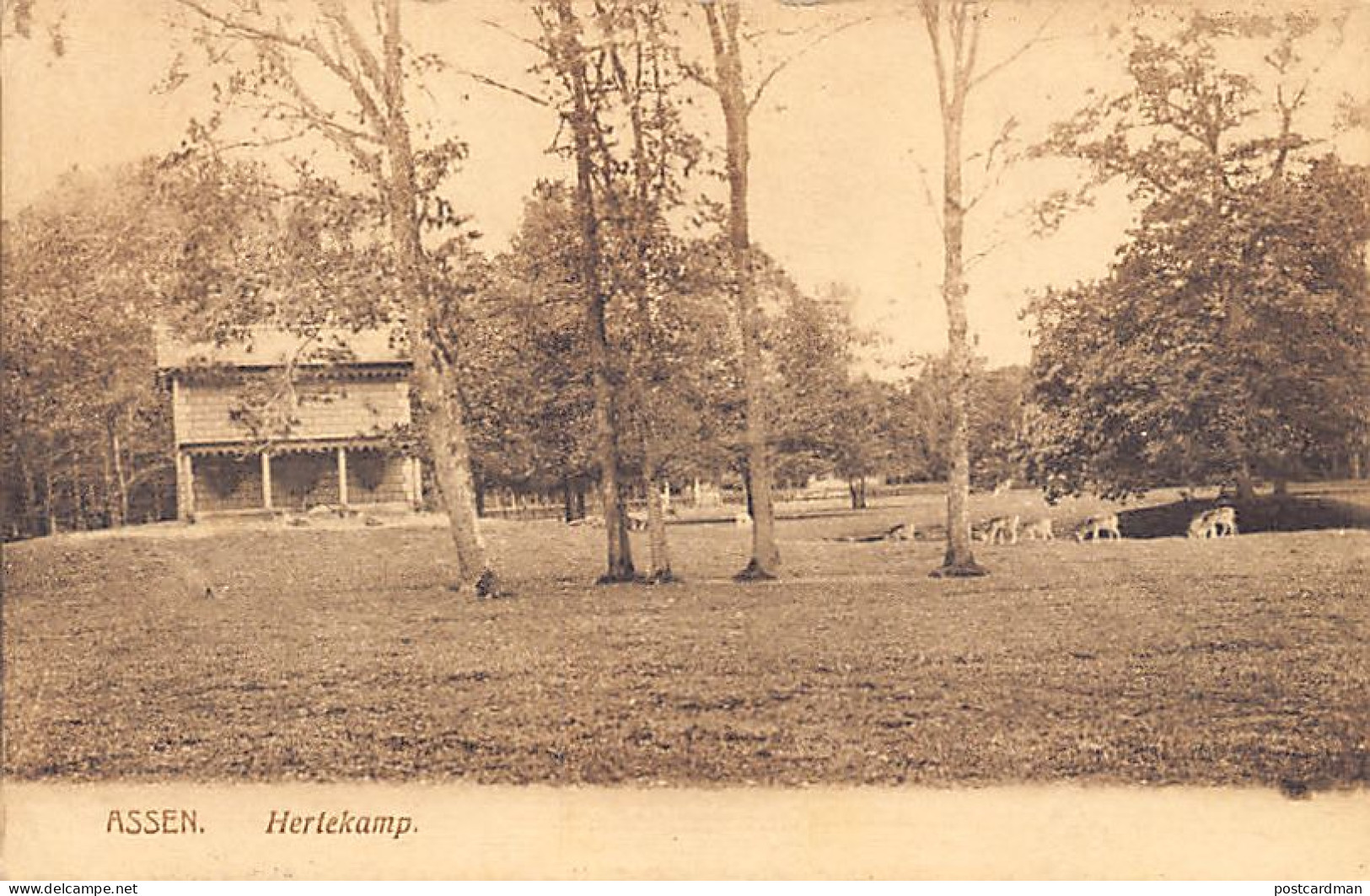 Nederland - ASSEN - Hertekamp