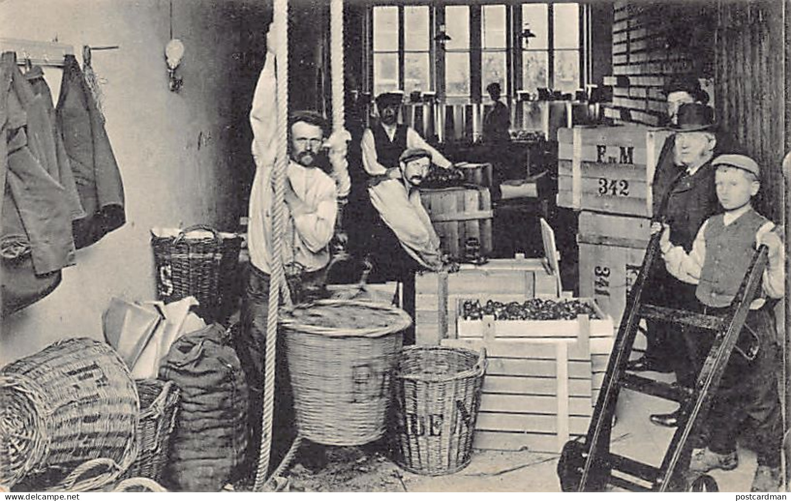 Nederland - LISSE - Fred de Meulder Bloembollen