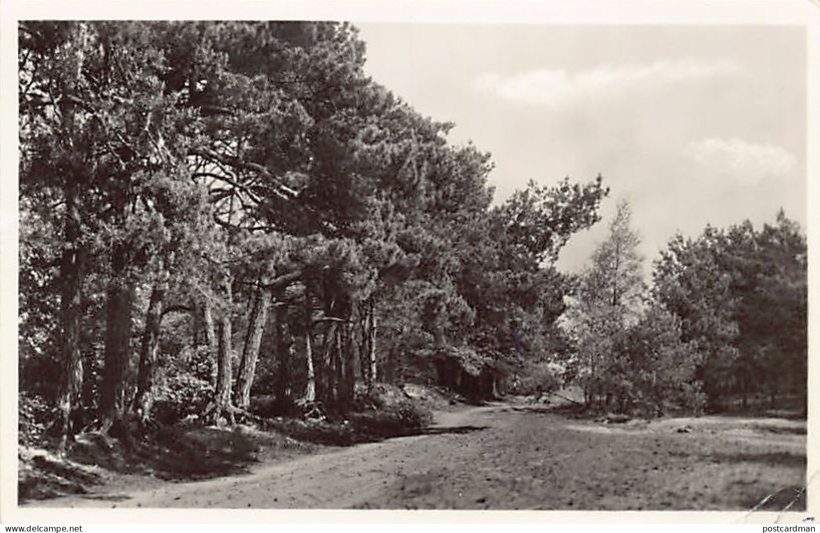 Nederland - NIJVERDAL - Holter fietspad - Uitg. Westera