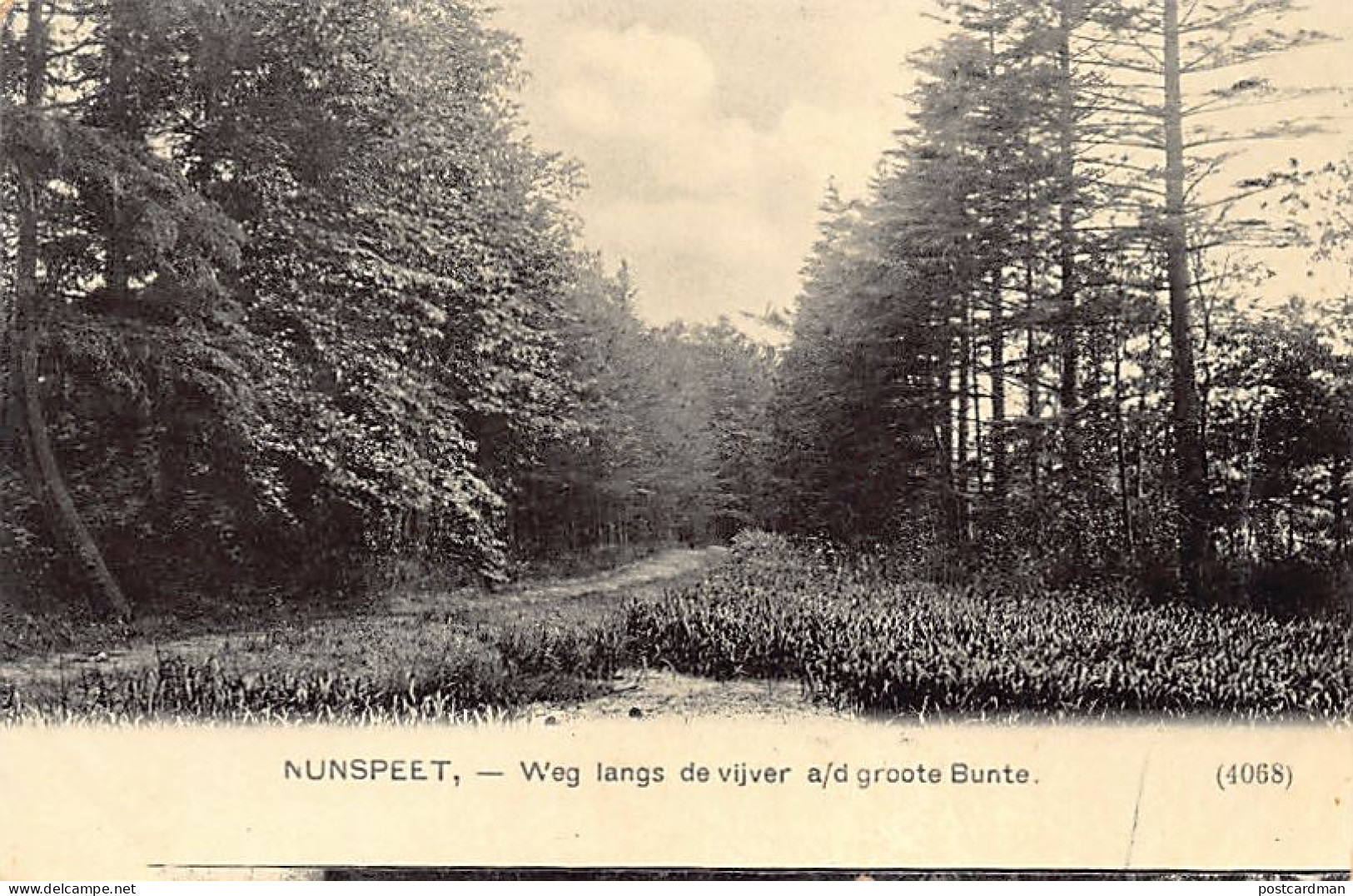 Nederland - NUNSPEET - Weg langs de vijver a. d. groote Bunte