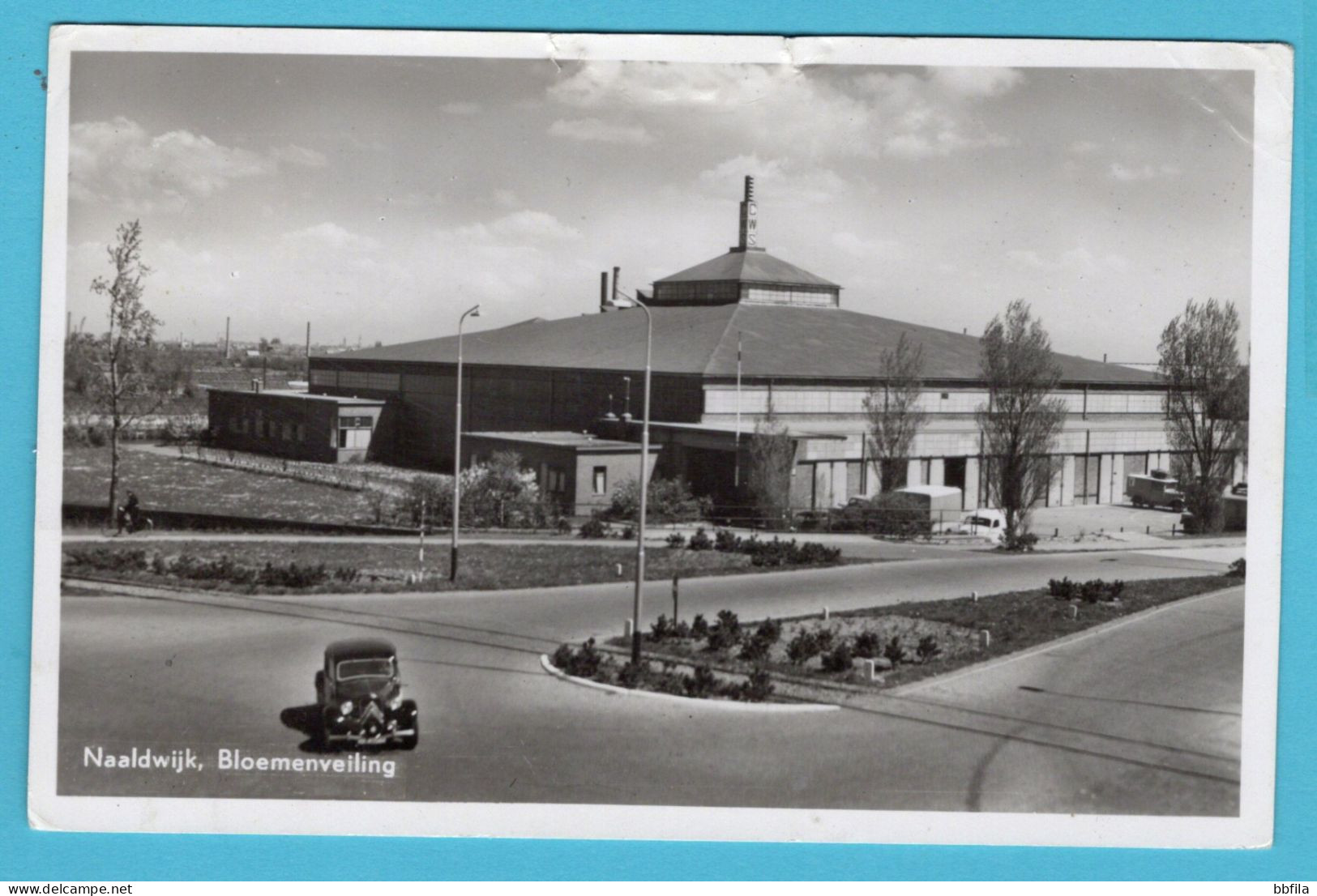 NEDERLAND prentbriefkaart Naaldwijk Bloemenveiling 1951 Honselerdijk naar Wageningen