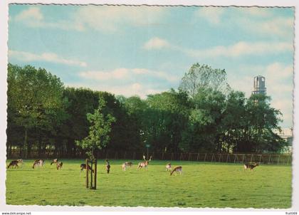 AK 204634 NETHERLANDS - Alphen aan de Rijn - Hertenkamp bij Bospark
