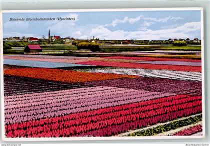10269979 - Lisse