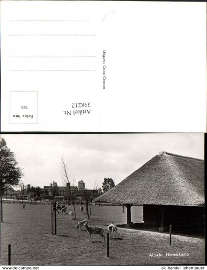 398212,Netherlands Almelo Hertenkamp Rehe Wild