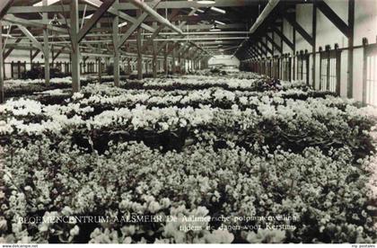 Aalsmeer NL Bloemencentrum