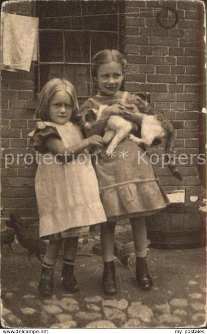 Arnhem Kinder Katze