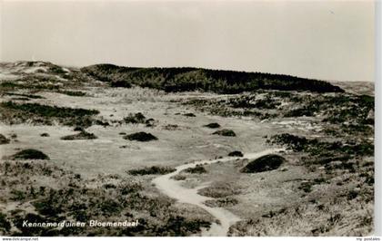Bloemendaal aan Zee NL Kennemerduinen