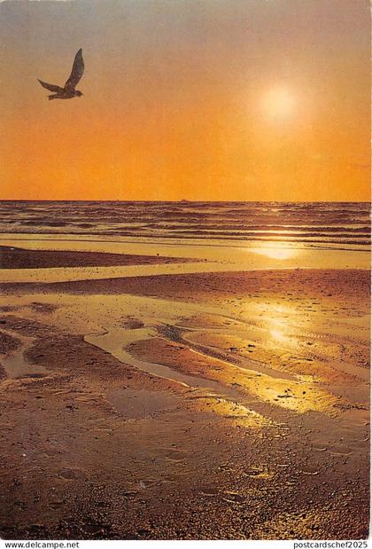 BT4679 Schoorl Netherlands