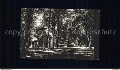 Bussum Bos van Bredius