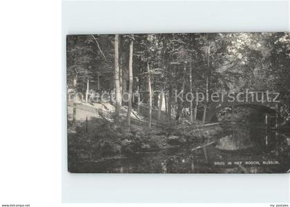Bussum Brug in het Bosch