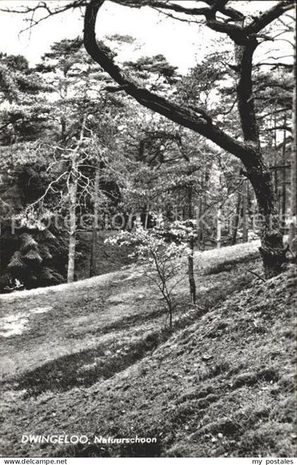 Dwingeloo Natuurschoon Waldpartie