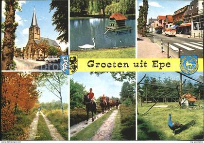 Epe Gelderland Kirche Pferde Tierpark