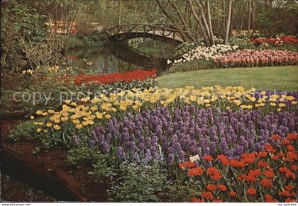 Lisse Keukenhof