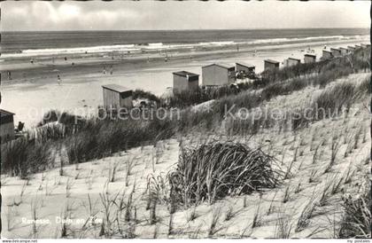 Renesse Strand Duenen
