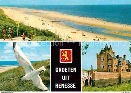 Renesse Strand Moewe Schloss