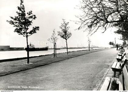 Schiedam Maas Boulevard