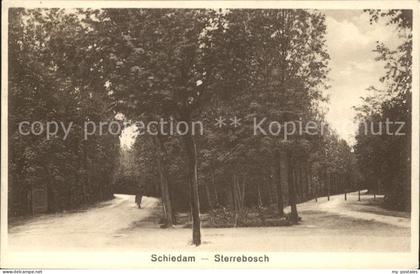 Schiedam Sterrebosch