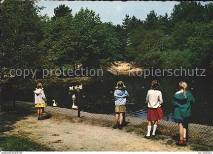 Schoorl Eendenvijver in de Nollen
