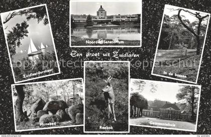 Zuidlaren Zuidlaardermeer Noorder Sanatorium Bossen Hunebed Reebok Gemeentehuis