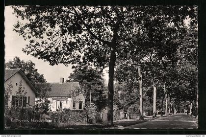 AK Bilthoven, Haydenlaan