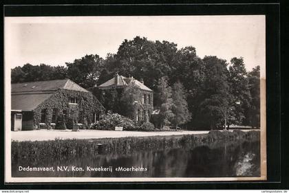 AK Dedemsvaart, N. V. Kon. Kweekerij Moerheim