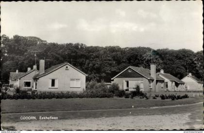 CPA Borger Odoorn Drenthe Niederlande, Eekhoflaan