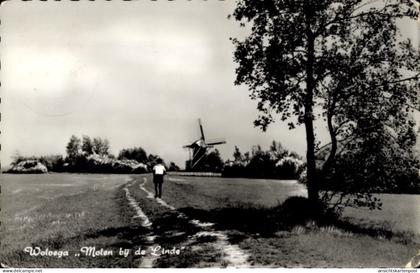 CPA Wolvega Fryslân Niederlande, Mühle an der Linde