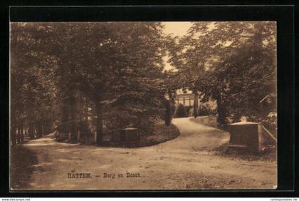 AK Hattem, Berg en Bosoh