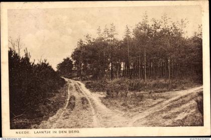 CPA Neede Berkelland Gelderland, Laantje in den Berg