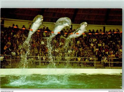 10274866 - Harderwijk