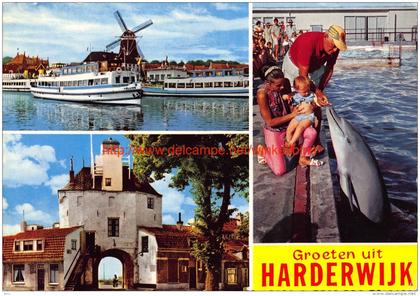 Groeten uit Â… - Harderwijk