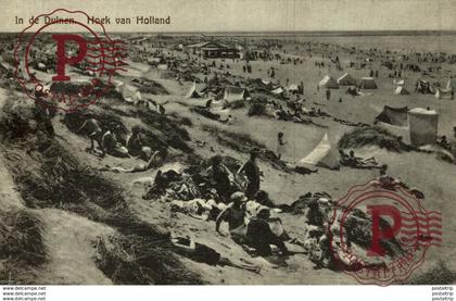 IN DE DUINEN HOEK VAN HOLLAND