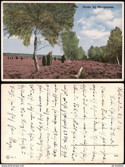 Postkaart Hoogeveen Heide bei Hoogeveen 1908
