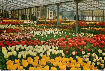CPM Keukenhof Lisse Holland