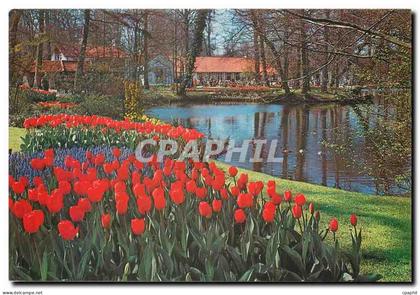 CPM "Keukenhof" Lisse-Holland