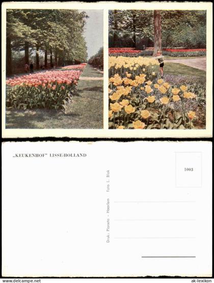 Postkaart Lisse Blumen Tulpen 2-Bild-AK KEUKENHOF LISSE-HOLLAND 1960
