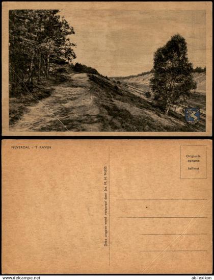 Postkaart Nijverdal Landschaftsansicht 't Ravijn 1940