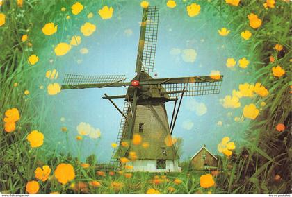 NL NOORD BRABANT WERKENDAM