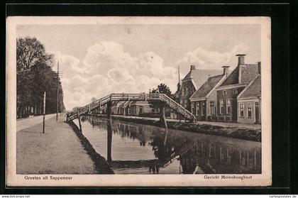 AK Sappemeer, Gezicht Molenhooghout
