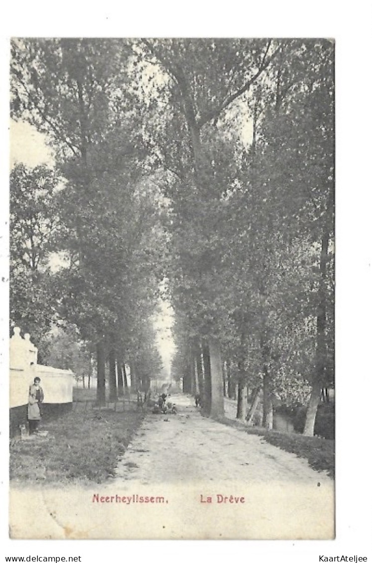 Neerheylissem - La drêve.