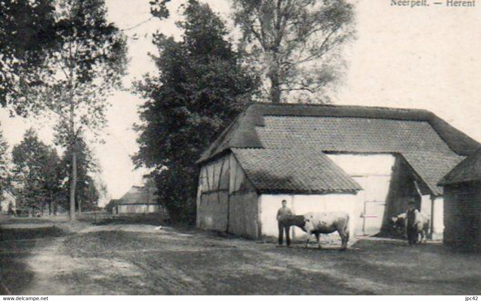 neerpelt